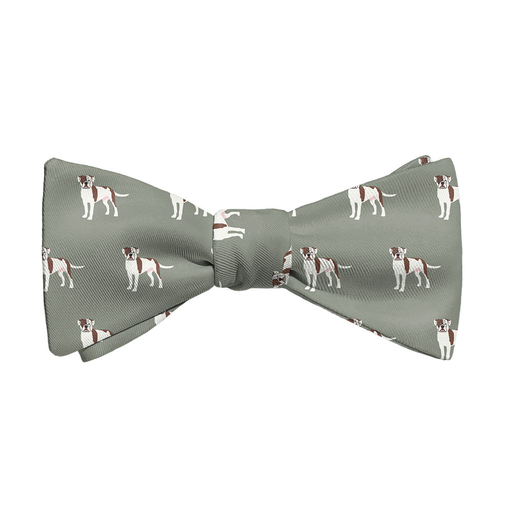 American Bulldog Bow Tie - Adult Standard Self-Tie 14-18" - Knotty Tie Co.