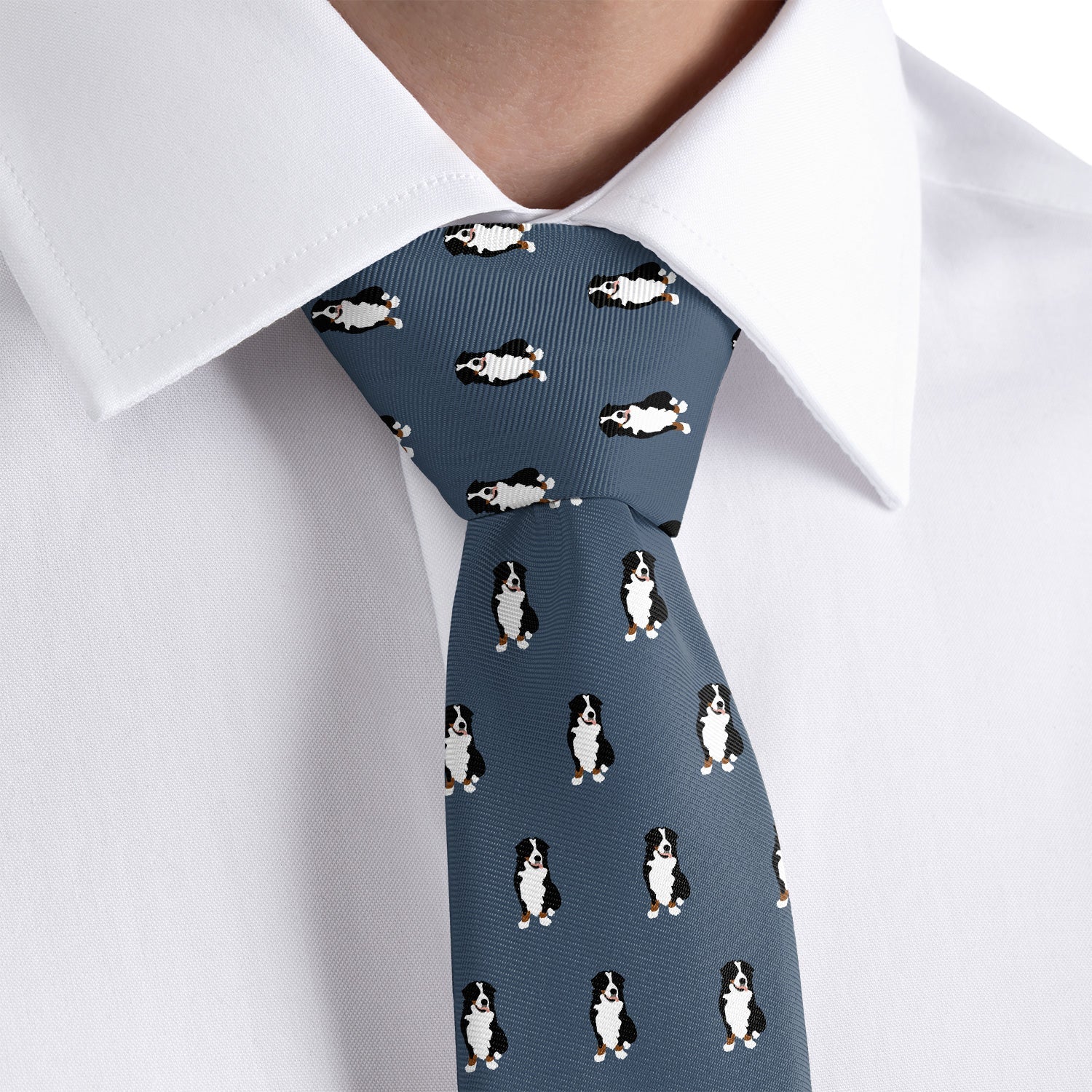 Bernese Mountain Dog Necktie - Dress Shirt - Knotty Tie Co.