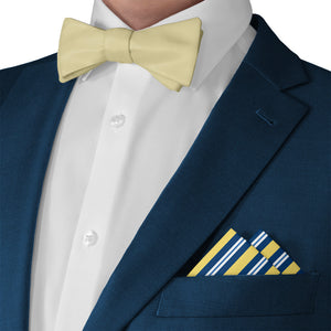 Bruce Stripe Pocket Square - Matching Bow Tie - Knotty Tie Co.