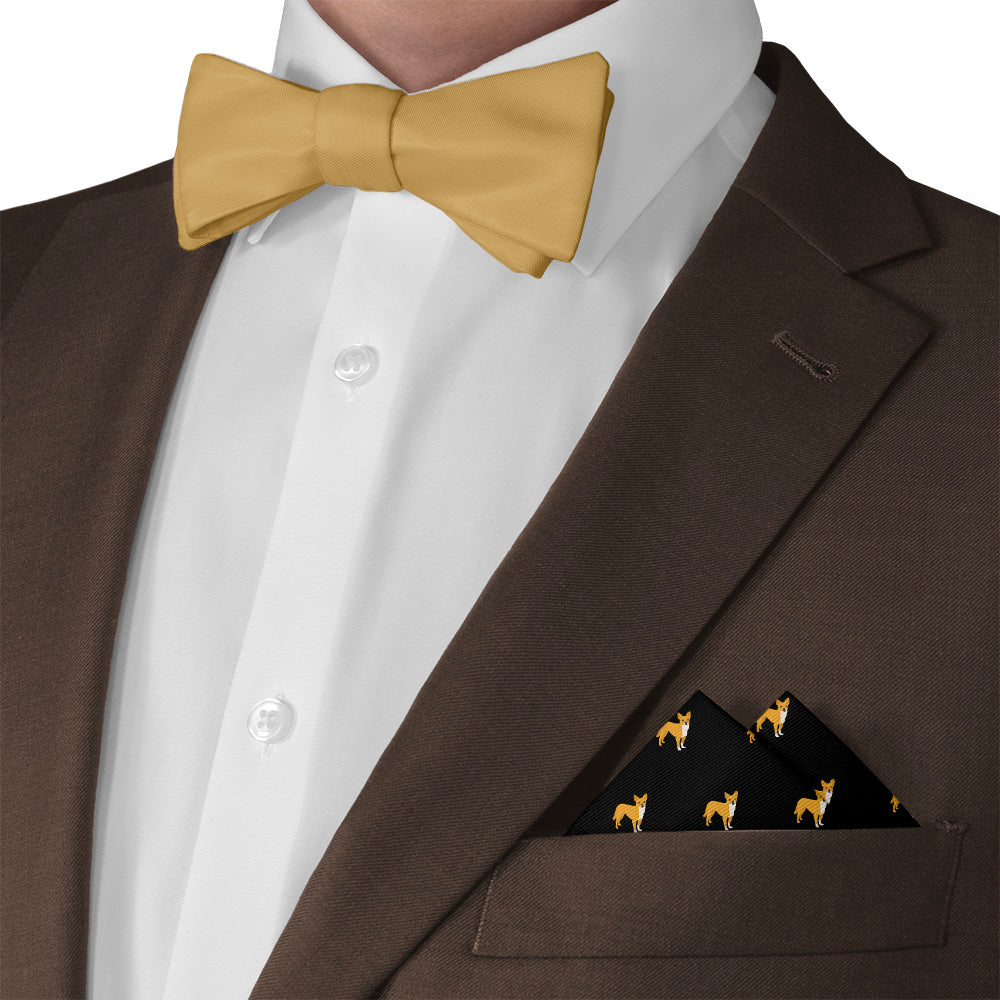 Chihuahua Pocket Square - Matching Bow Tie - Knotty Tie Co.