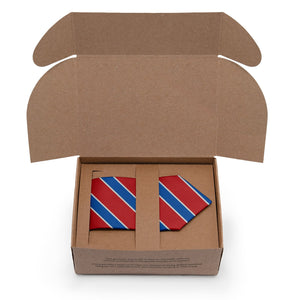 Clarkson Stripe Necktie - Packaging - Knotty Tie Co.