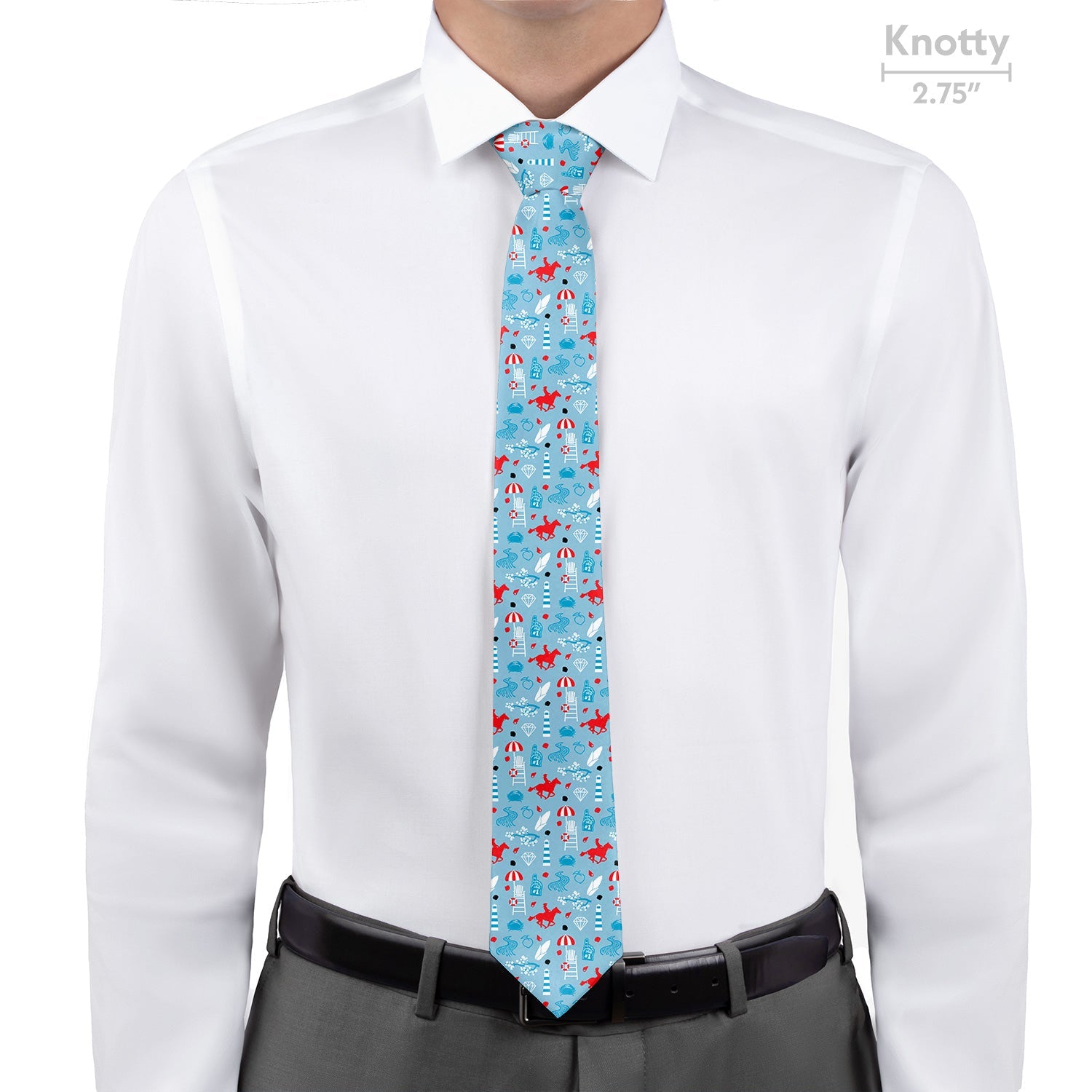Delaware State Heritage Necktie - Knotty - Knotty Tie Co.