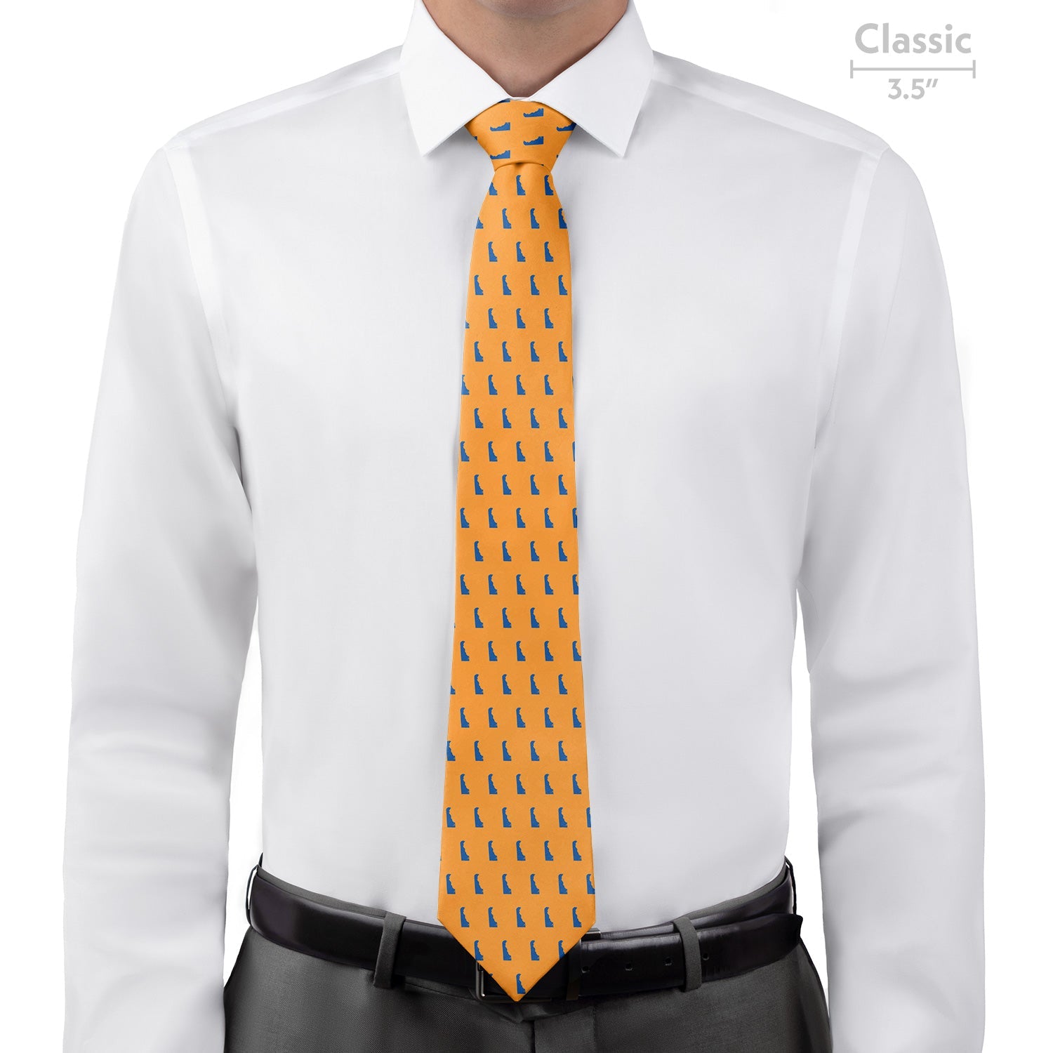 Delaware State Outline Necktie - Classic 3.5" -  - Knotty Tie Co.