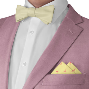 Flamingos Pocket Square - Matching Bow Tie - Knotty Tie Co.