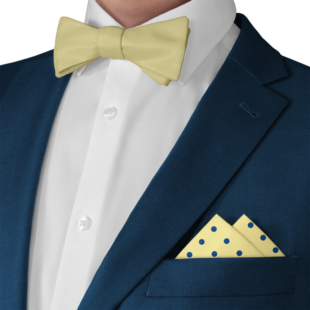 Franklin Dots Pocket Square - Matching Bow Tie - Knotty Tie Co.