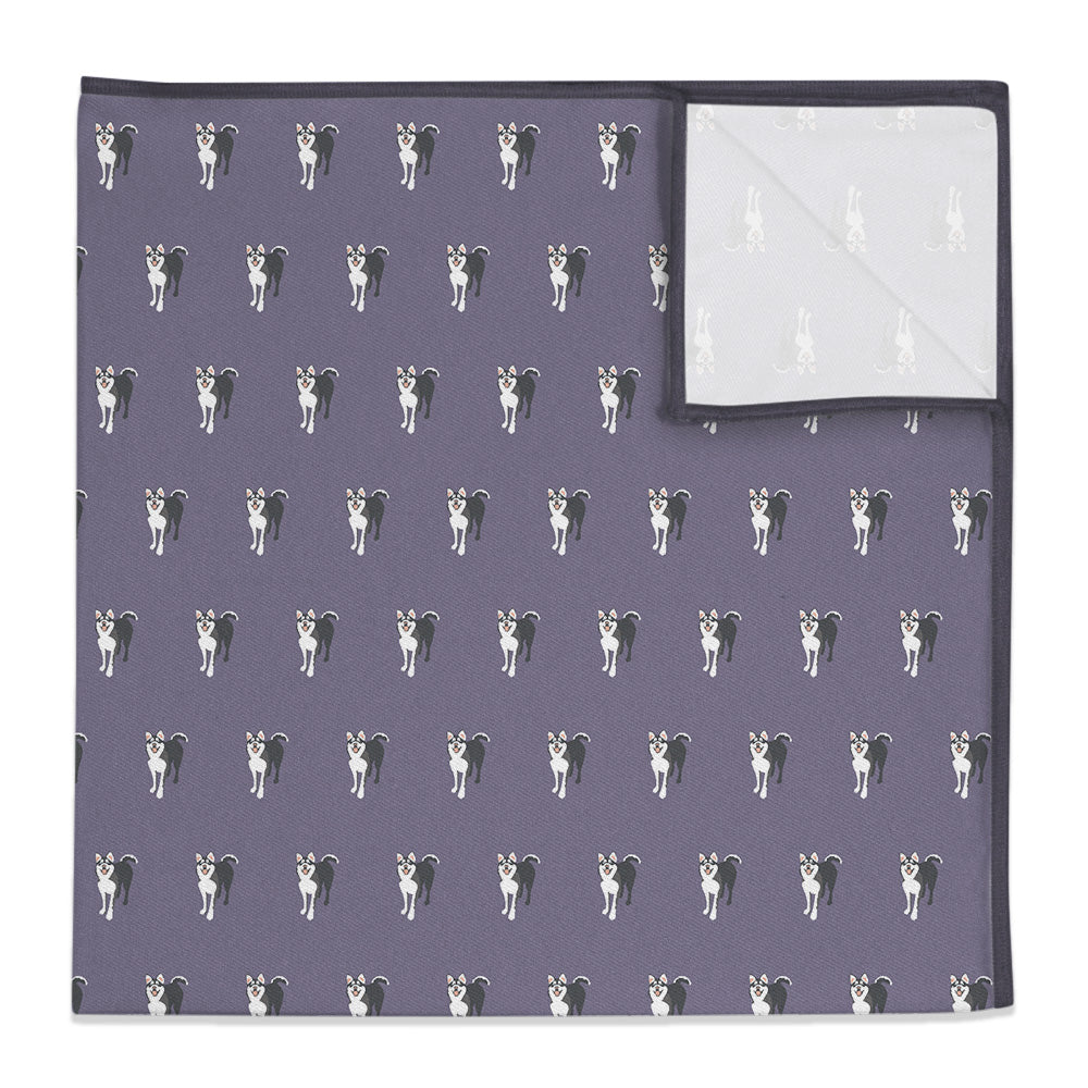 Husky Pocket Square - 12" Square - Knotty Tie Co.