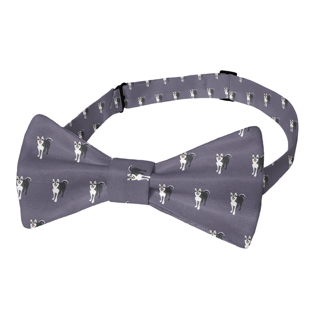 Husky Bow Tie - Adult Standard Self-Tie 14-18" - Knotty Tie Co.