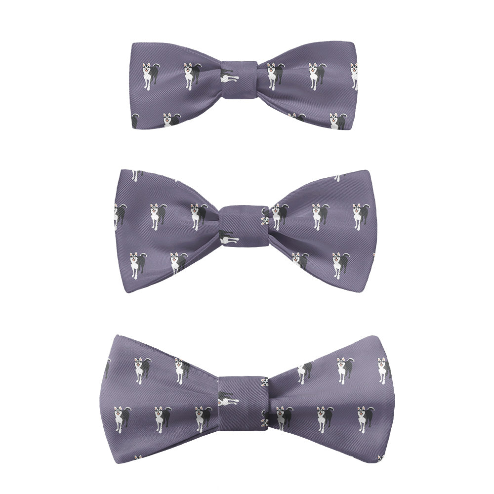 Husky Bow Tie - Kids Pre-Tied 9.5-12.5" - Knotty Tie Co.