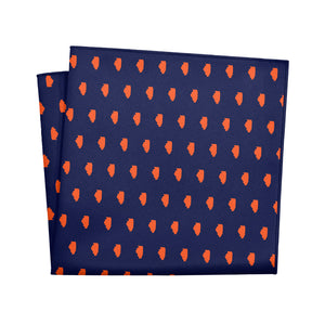 Illinois State Outline Pocket Square - 12" Square - Knotty Tie Co.