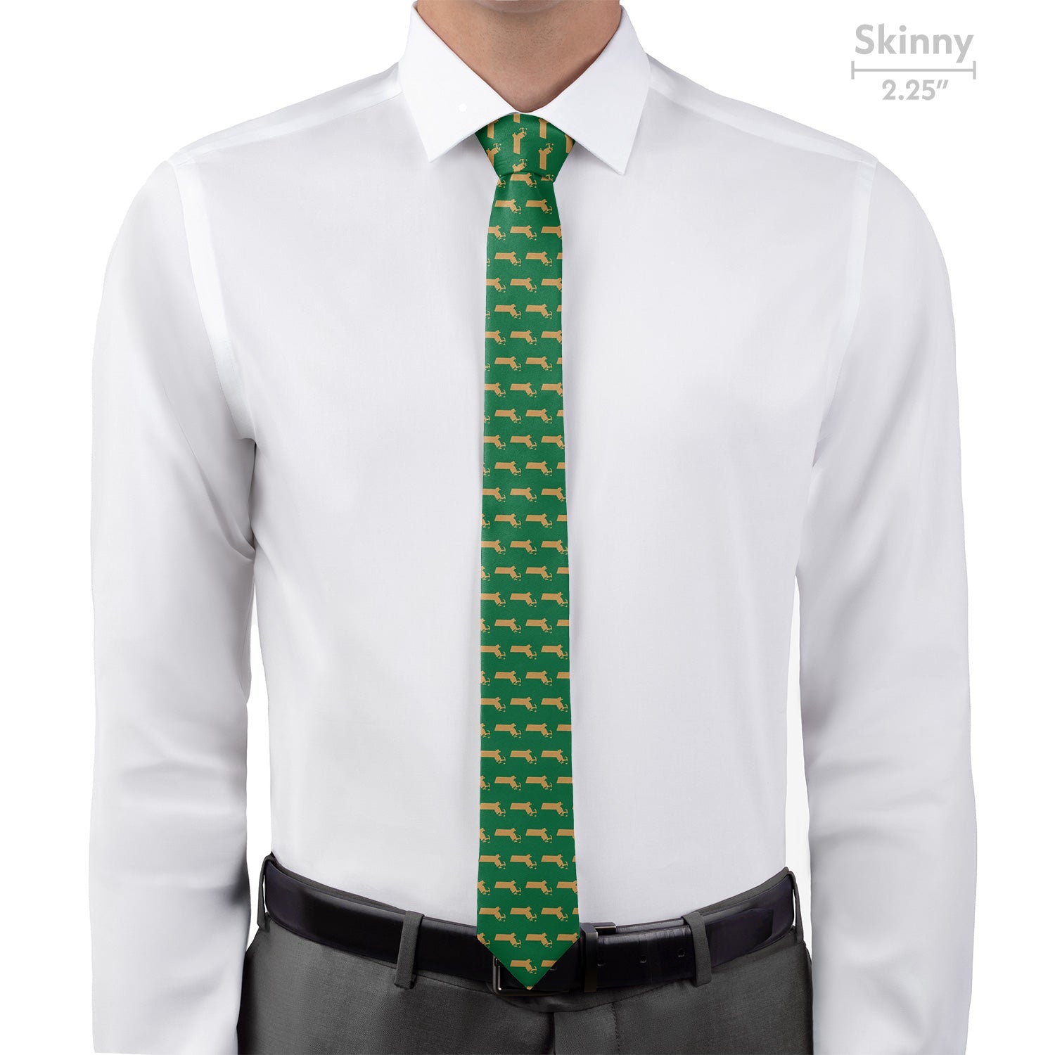 Massachusetts State Outline Necktie - Skinny - Knotty Tie Co.