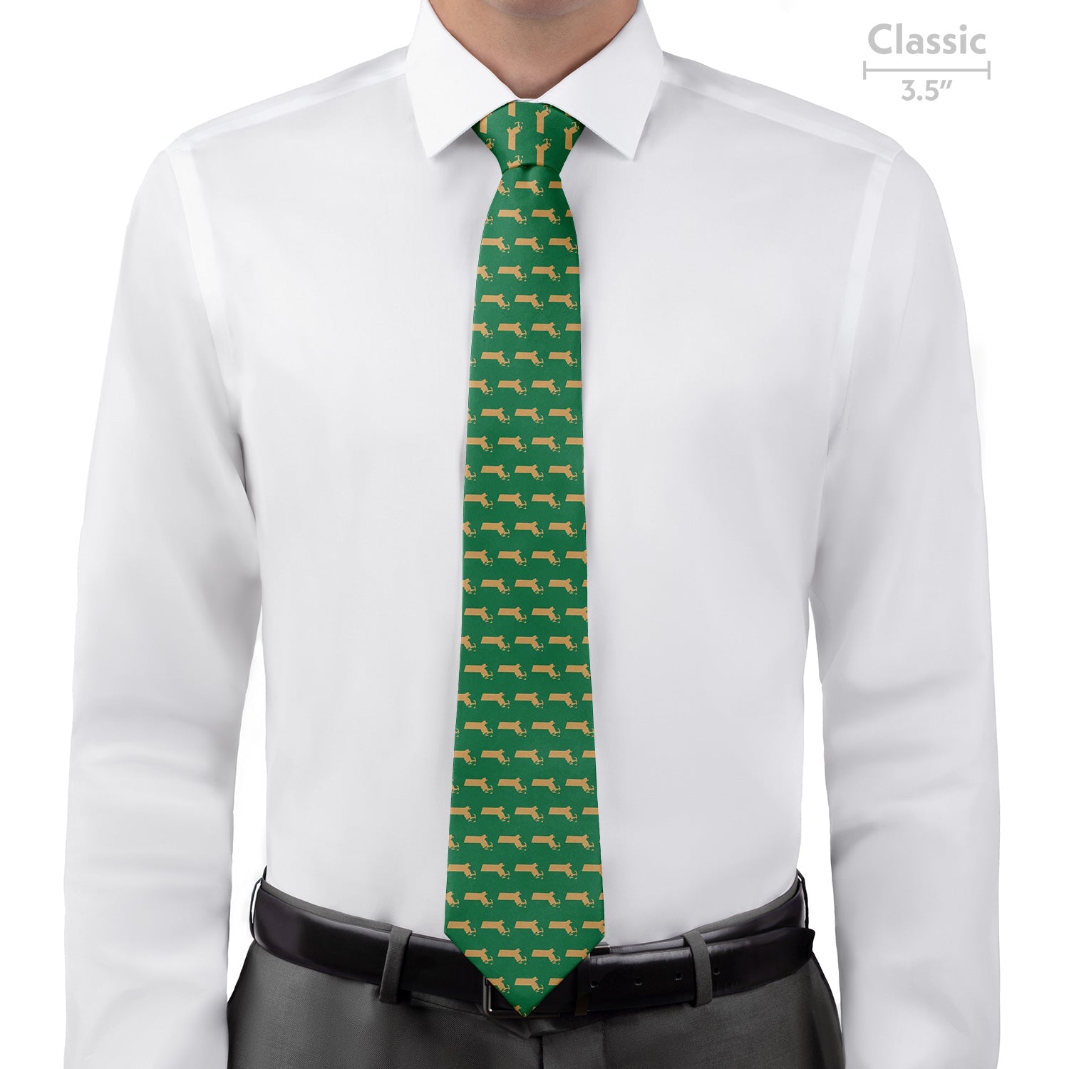 Massachusetts State Outline Necktie - Classic - Knotty Tie Co.