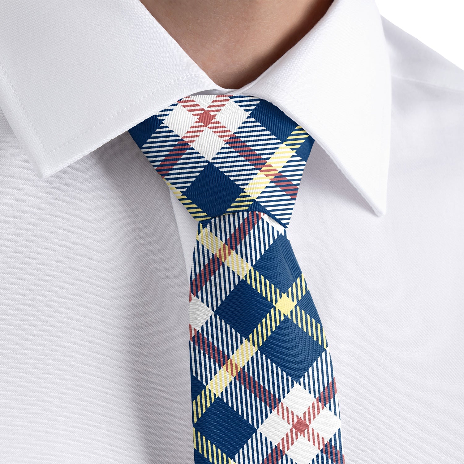 Shaun Plaid Necktie - Rolled - Knotty Tie Co.
