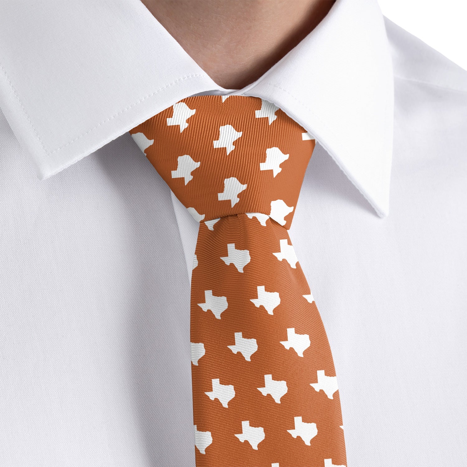 Texas State Outline Necktie - Rolled - Knotty Tie Co.