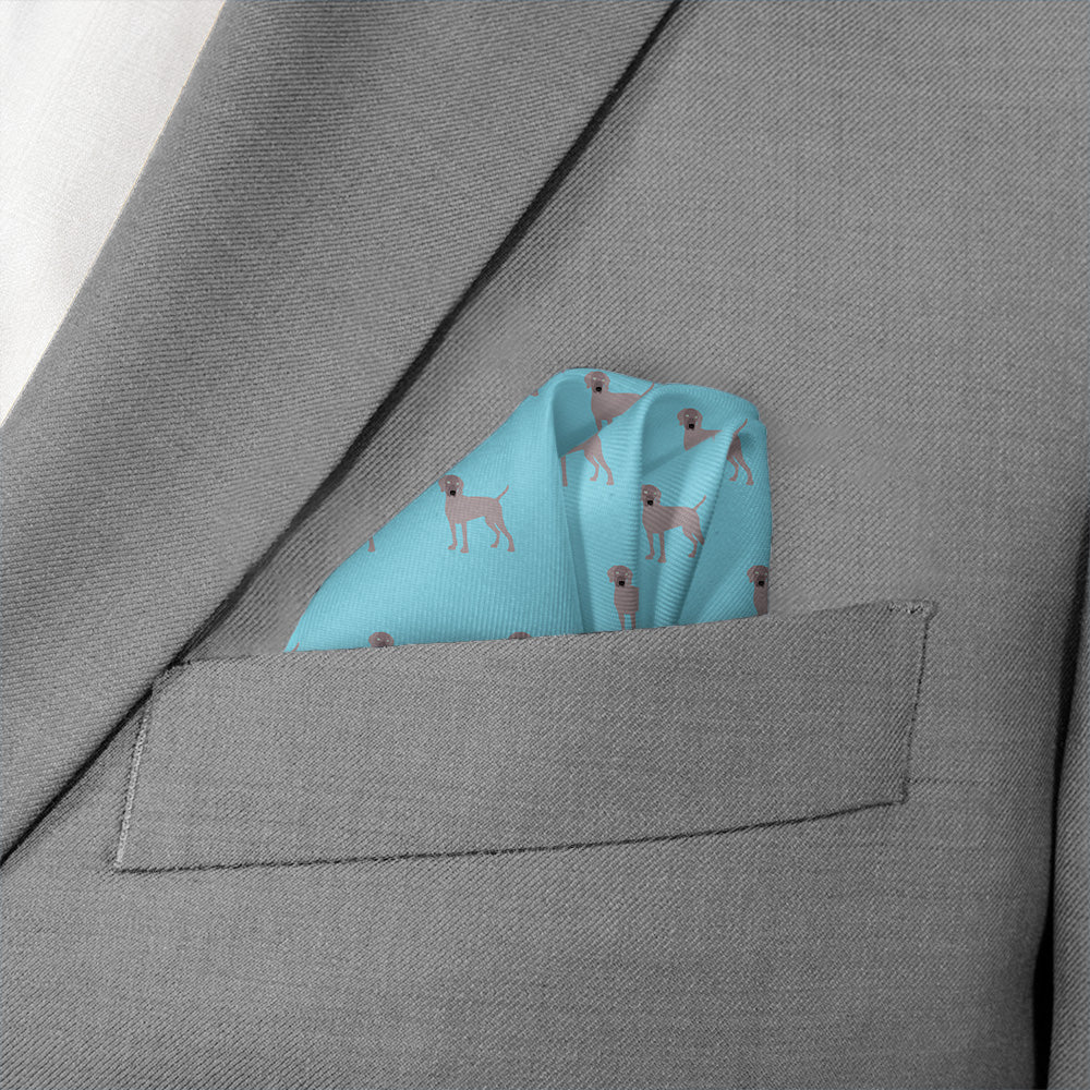 Weimaraner Pocket Square - Wave Fold - Knotty Tie Co.